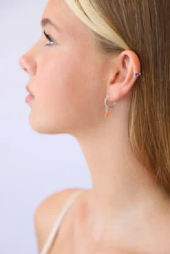 Online Carnelian Cadi Hoops Studs And Hoops|Earrings