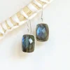 Clearance Faceted Labradorite Earrings Earrings