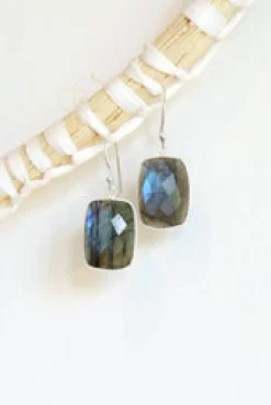 Clearance Faceted Labradorite Earrings Earrings