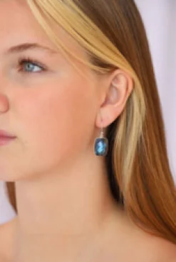 Clearance Faceted Labradorite Earrings Earrings