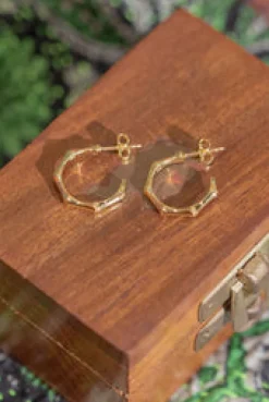 Outlet Gold Bamboo Hoops Studs And Hoops|Earrings