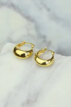 New Gold Dian Hoops Earrings