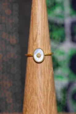 Hot Gold Marina Shell Ring Rings