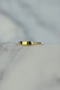 Hot Gold Rectangle Bar Ring Rings