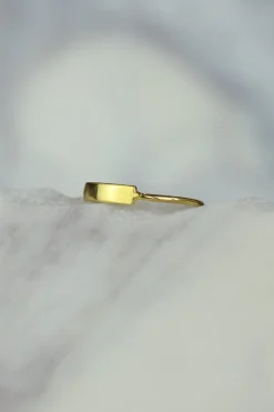 Hot Gold Rectangle Bar Ring Rings