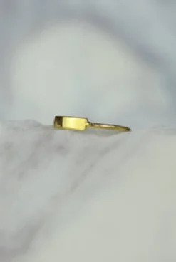 Hot Gold Rectangle Bar Ring Rings