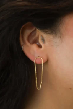 Clearance Gold Roxie Chain and Hook Earrings Studs And Hoops|Earrings