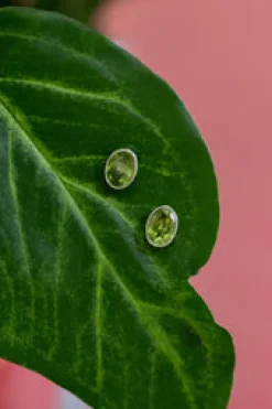 Online Peridot Elly Studs Studs And Hoops|Earrings