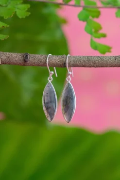 New Rayn Earrings Earrings