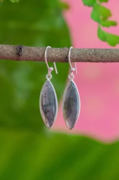 New Rayn Earrings Earrings