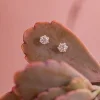 Discount Shimmer Star Studs Studs And Hoops|Earrings