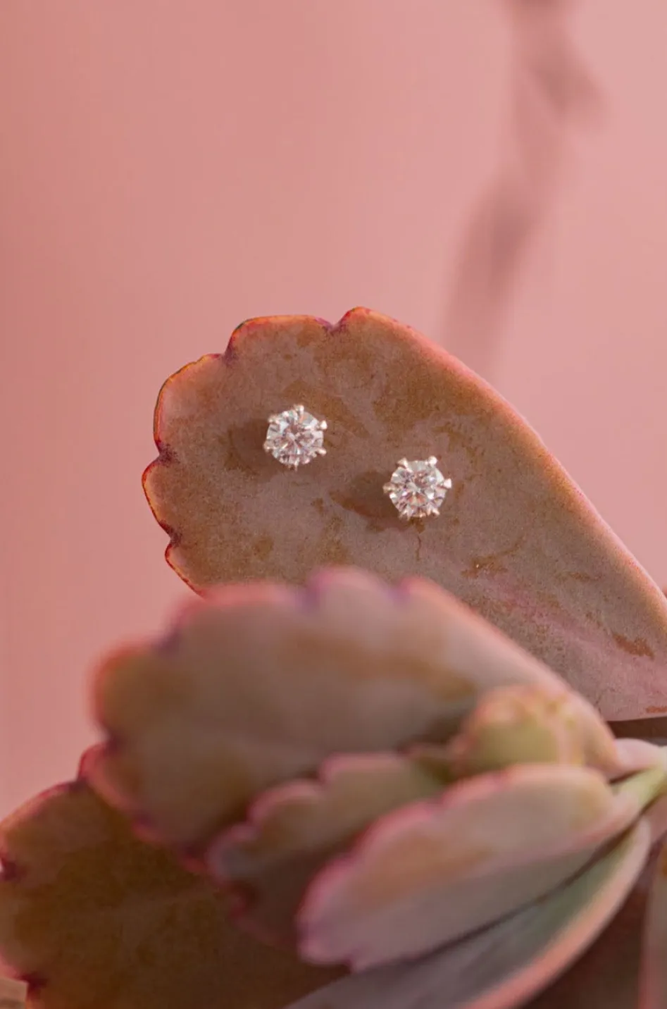 Discount Shimmer Star Studs Studs And Hoops|Earrings