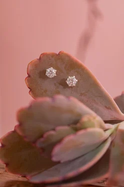 Discount Shimmer Star Studs Studs And Hoops|Earrings