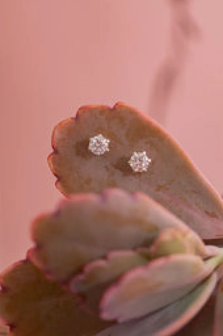 Discount Shimmer Star Studs Studs And Hoops|Earrings