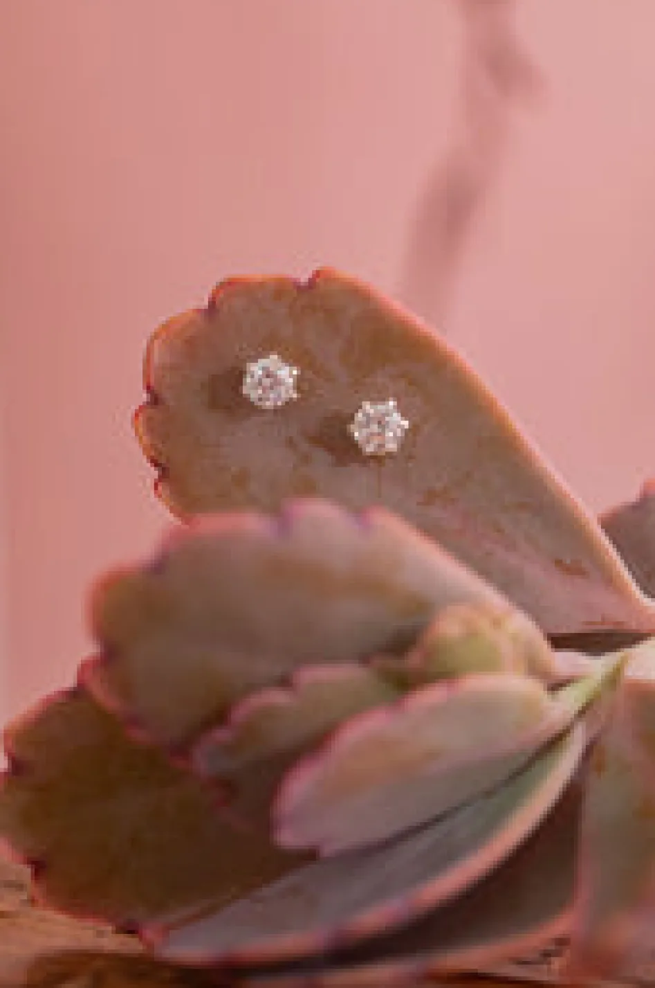 Discount Shimmer Star Studs Studs And Hoops|Earrings
