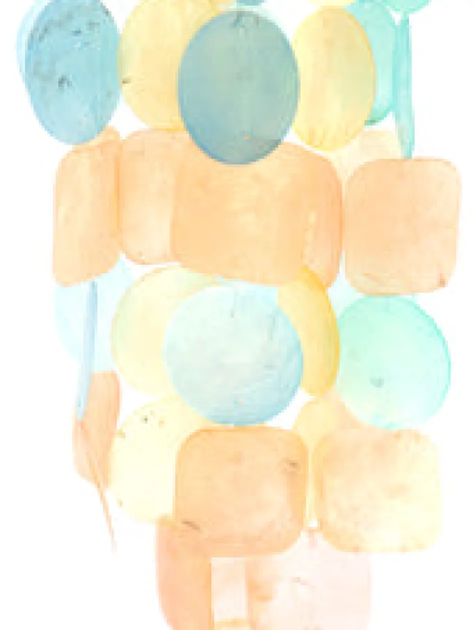 Outlet Sunlit Shell Capiz Windchime Dreamcatchers & Hangings