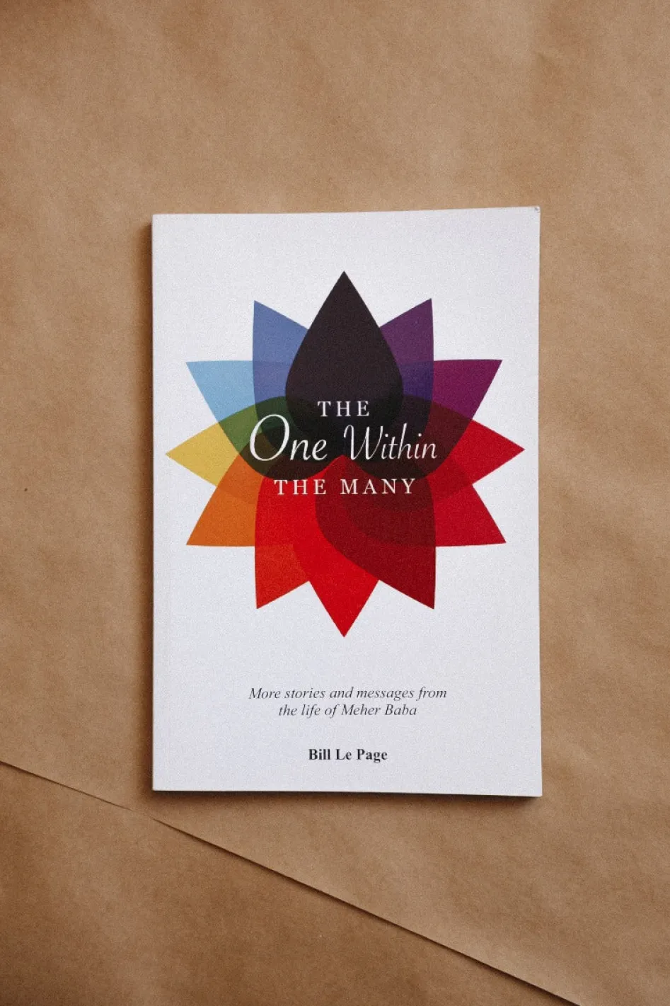 Fashion The One Within the Many Books & Greeting Cards