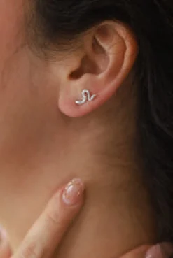 Best Zen Silver Snake Studs Studs And Hoops|Earrings